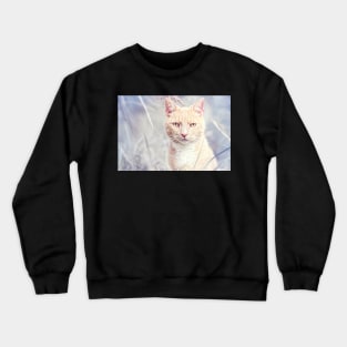 Red Tomcat Crewneck Sweatshirt